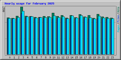 Hourly usage for February 2025