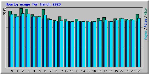 Hourly usage for March 2025